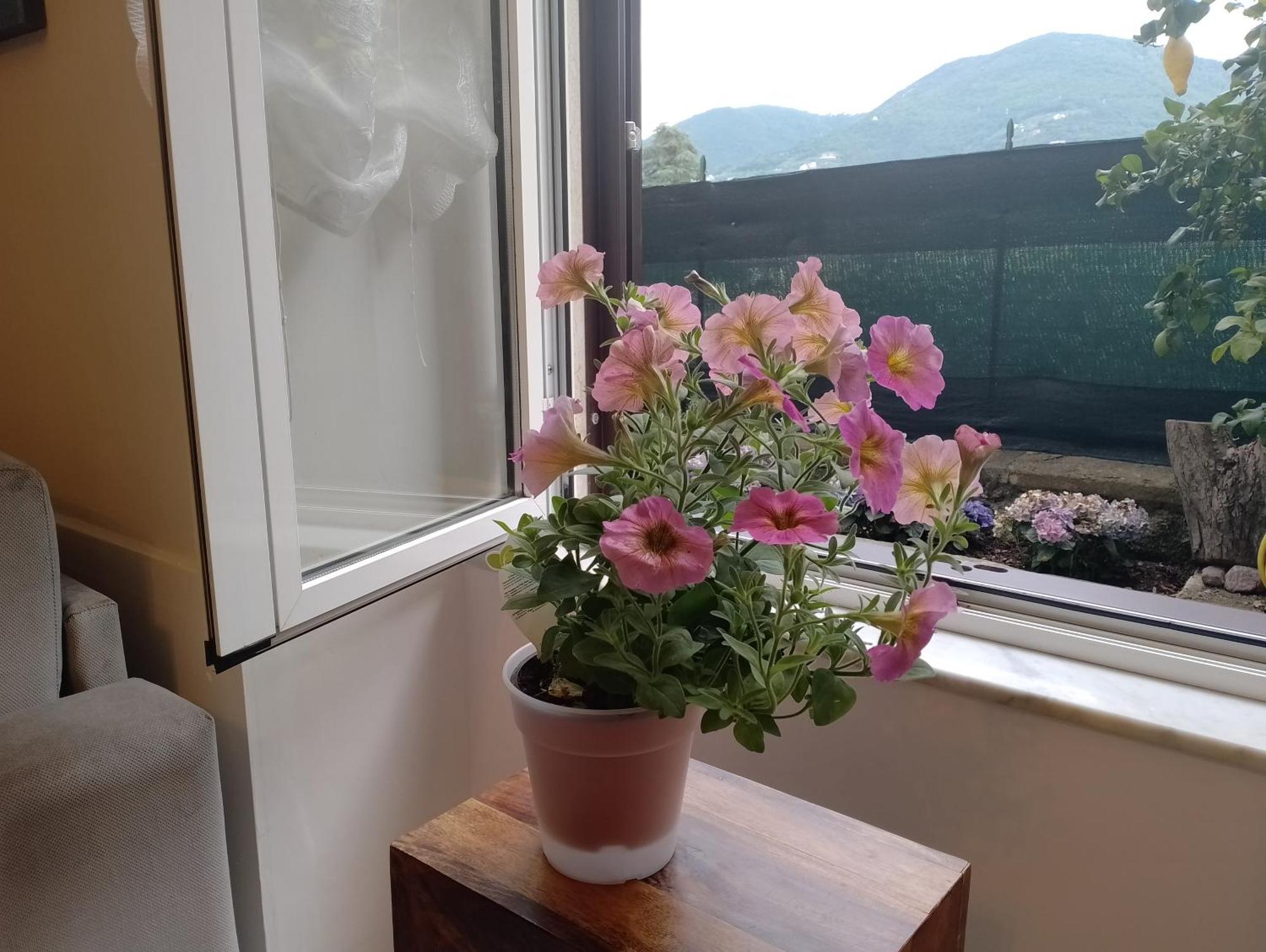 Casa Veve' Daire La Spezia Dış mekan fotoğraf